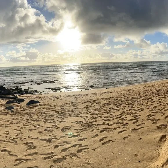 The Poshalots live listing! - Picture 1 of 7